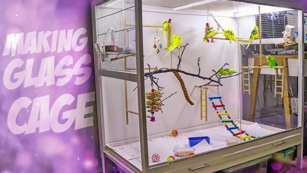 budgie cage diy